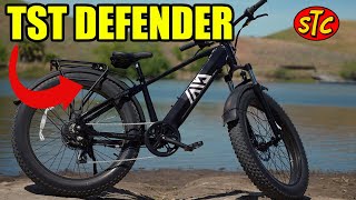 The TST Defender - 71lbs and 1300 Watts for $1199