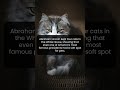 Abraham Lincoln Secretly Loved Cats More Than You Think