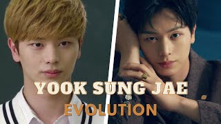 Let's get to know more about the acting career of the singer-actor, Yook Sung Jae |2012-present|