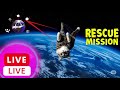 🔴LIVE: Cat Falling from Space (Loop) 🌌🐾 | Mesmerizing Chill Stream by Drafted by AI
