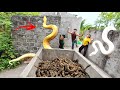 Two brave soldiers risked their venturing into the lair of a giant python to rescue a beautiful girl