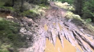 HALLANDIA 160414 2
