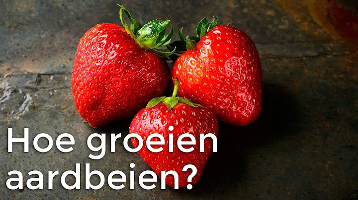 Hoe groeien aardbeien? | Doen Ze Dat Zo? | Het Klokhuis