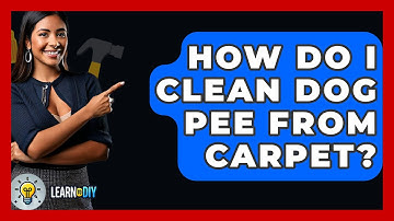 How Do I Clean Dog Pee From Carpet? - LearnToDIY360.com