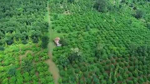 Tổng diện tích 13h giá 400tr/ sào lh 0348487748