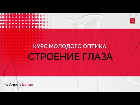 1.3. Строение глаза