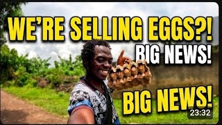 We have started to sell eggs???!!!!! .......