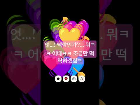 내 구독자...
