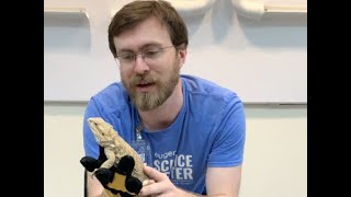 Eugene Science Center: Meet Leonard the Bearded Dragon