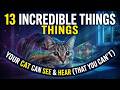 13 Incredible Things Your Cat Can See and Hear That You Can't