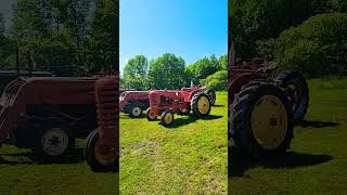 Restored Massey Ferguson Tractors for Sale at Auction #farmallfanatic #shorts