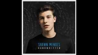 Shawn Mendes - Lost