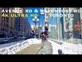 Avenue rd Toronto (walking tour 4k)