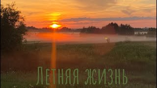 Жизнь летом в деревне. Семья в своём доме. Природа. Огород.