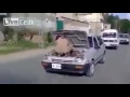 تحشيش صنف عالي قوي