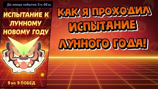 КАК Я ПРОХОДИЛ ИСПЫТАНИЕ ЛУННОГО НОВОГО ГОДА! 🐯