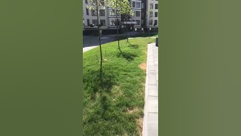 0 02 04 1a521ab5c162835d59c66ca7ffa1dae8b8aa367bf5038f18a8498bea8a35d922 ea4ad5fd convert video onli