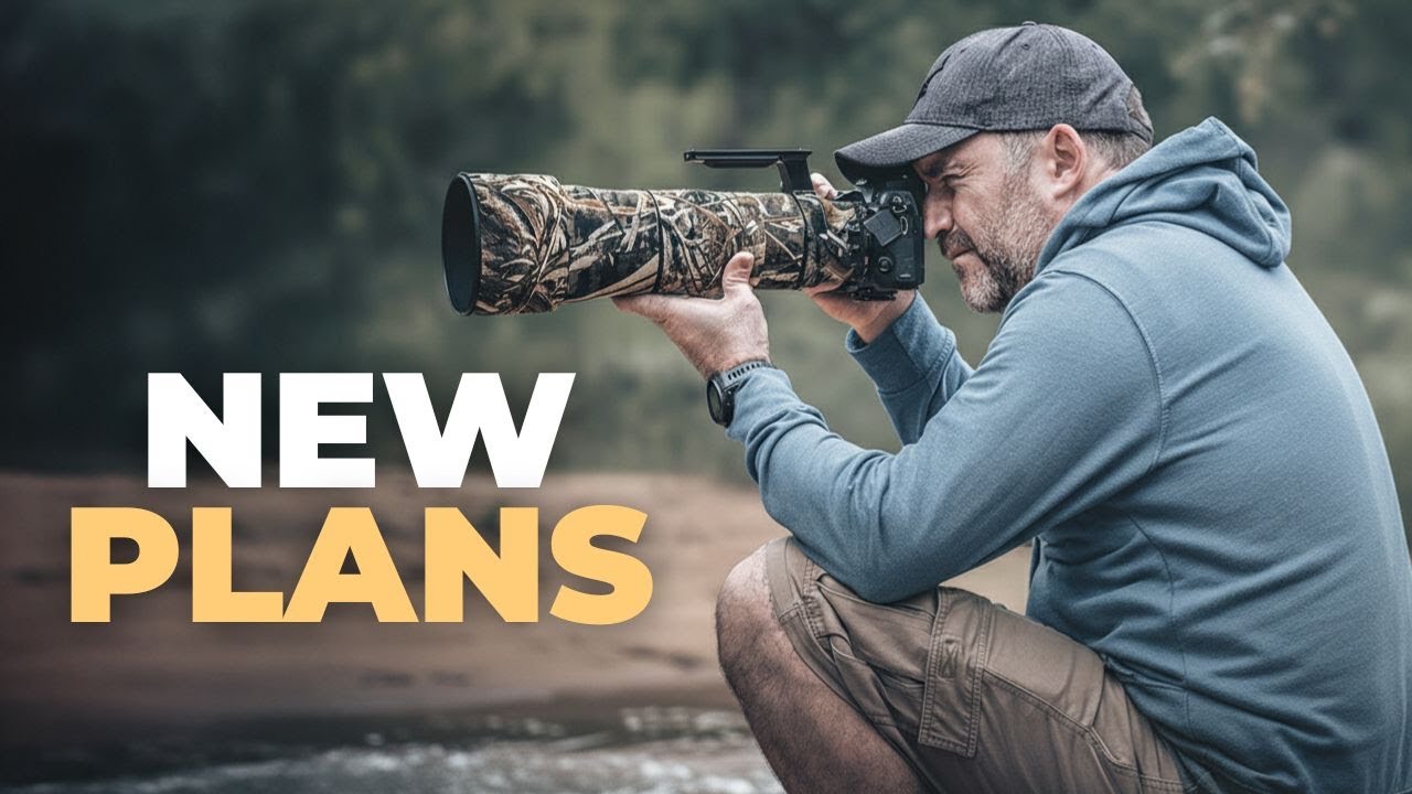 Моя работа в этом году — что будет дальше?