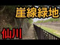 仙川崖線緑地と久しぶりの仙川へ【東京都調布市】