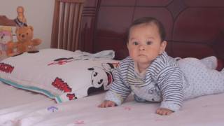 Arish Ali New Updates 3