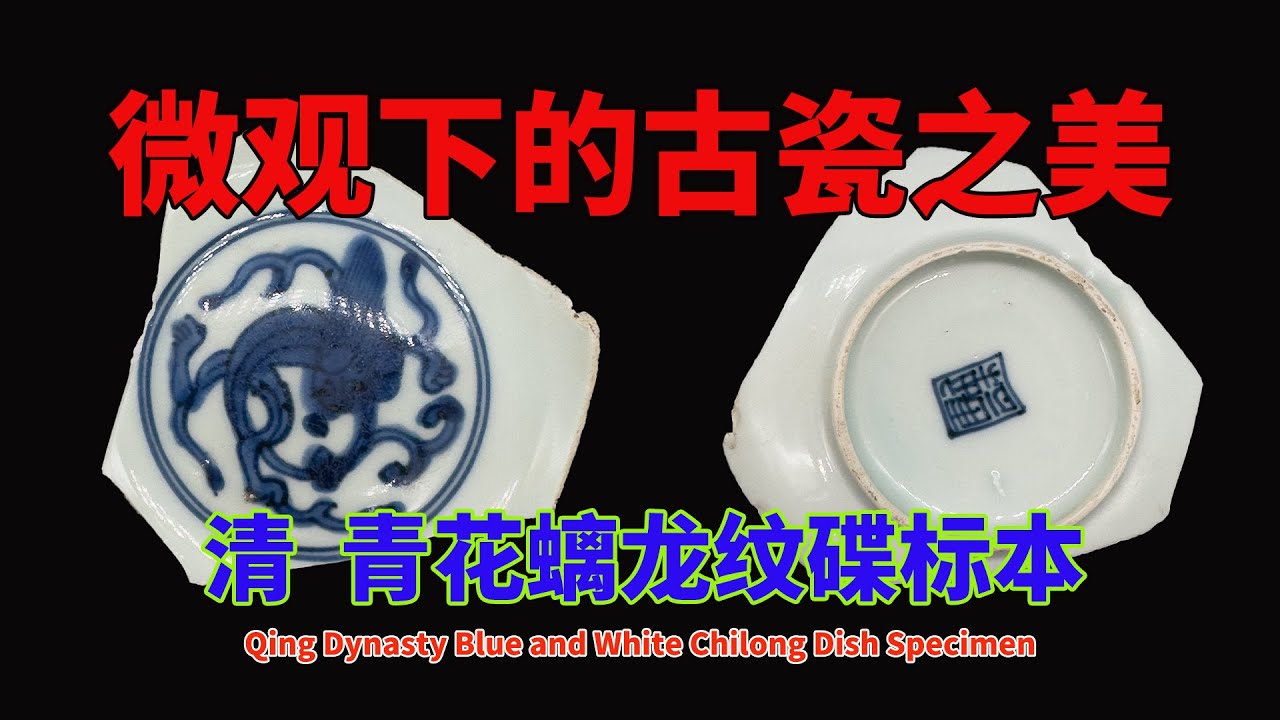 清青花螭龙纹碟标本- Qing Dynasty Blue and White Chilong Dish