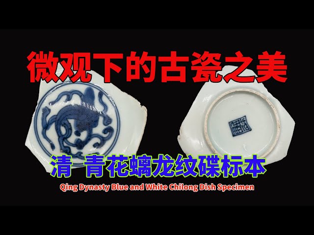 清青花螭龙纹碟标本- Qing Dynasty Blue and White Chilong Dish