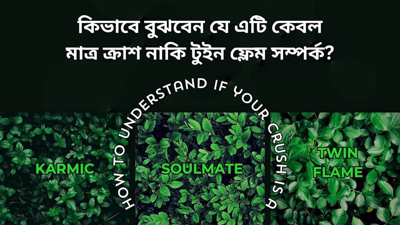Crush or Twin Flame? - কিভাবে বুঝবেন যে এটি কেবল মাত্র ক্রাশ নাকি টুইন ফ্লেম সম্পর্ক? 💞🔐 | 04