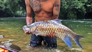 Mancing Ikan Mahseer di Hulu sungai | strikenya mantul