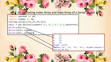 #pandas-series attributes