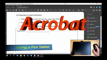 Using a Pen Tablet with Adobe Acrobat