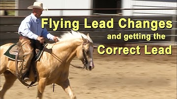 Flying Lead Changes - Getting the Correct lead - Reining Horse Training - Western Riding