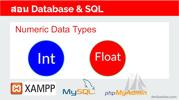 สอน Database & SQL Numeric Data Types (Int & Float) ชนิดข้อมูลตัวเลขและทศนิยม