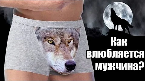 Как ВЛЮБЛЯЕТСЯ мужчина? 7 стадий МУЖСКОЙ любви.