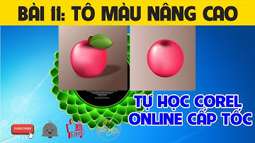 Tự học CorelDraw cấp tốc || Bài 11: Tô màu thông minh Mesh Fill | S design - Tự học đồ họa