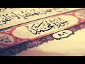 تلاوة من صلاة التراويح لعام ١٤٤٥  سورة محمد  للشيخ أحمد محسن نجومي