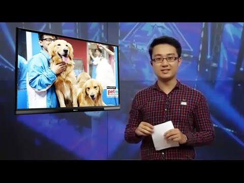 #1 VTV6 – Dịch vụ chăm sóc thú cưng tại Pet Mart được giới trẻ ưa chuộng Mới Nhất