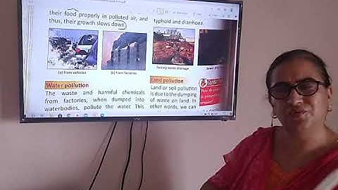 Class 5 SST Chapter 9 Part 2