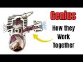 How the 2-Stroke Engine & Carburetor Work Together!