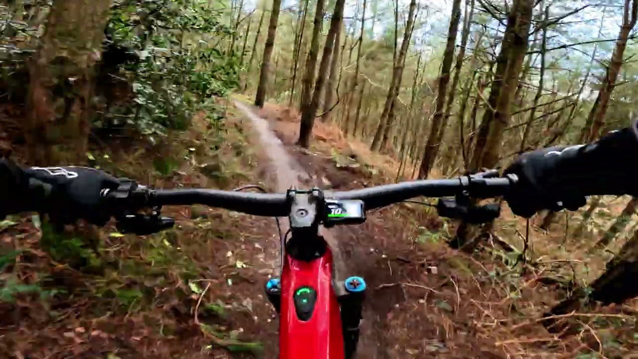 Cannock Chase Uncle Albert..