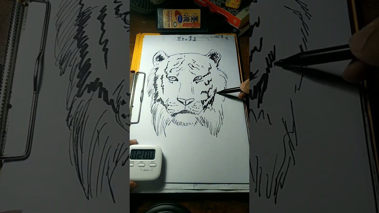 Tutorial gambar macan dalam 5 menit no root. 