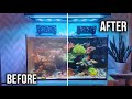 Not Cleaning My Reef Tank Was A BIG Mistake