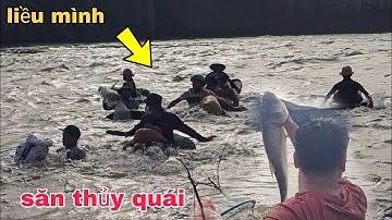 ĐÓNG ĐẬP THỦY ĐIỆN TRỊ AN | BẮT CÁ KHỦNG HIẾM CÓ TRONG NĂM