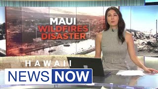 $11,000 a month for rent? Hundreds of families forced to leave Maui as housing costs skyrocket