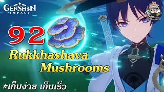 จุดเก็บ 92 ดอก ✦ Rukkhashava Mushrooms【ของอัพ Wanderer】| Genshin Impact