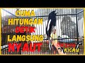 Suara Pancingan Kacer Poci Gacor Ngeplong Nembak Isian Mewah Djamin Kacer Manapun Langsung Ikut Nyau Mp3 - Mp4 Download
