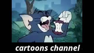Hd Tom And Jerry Comedy Show