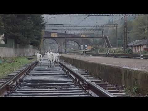 \"2020'nin En İyi Filmi' Ödülü 'TÜNEL'İN\"