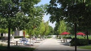Indiana University South Bend - 5 Things I Wish I Had Known Before Attending