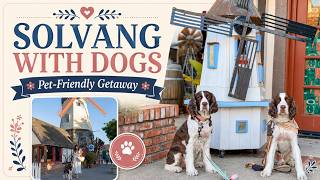 Pet-Friendly Solvang Weekend With Dogs
