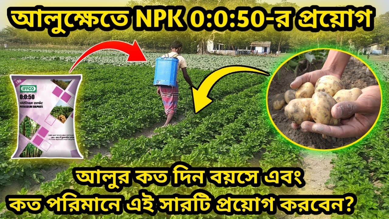 npk-0-0-50
